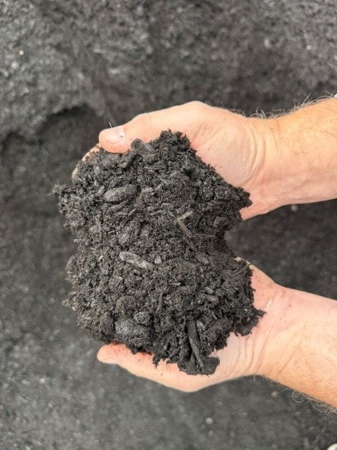 Two hands holding black fine bark