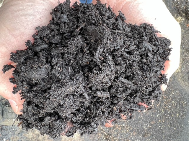 Two hands holding compost