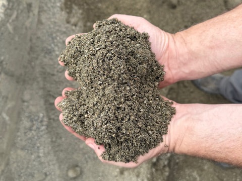 Two hands holding washed builder's sand
